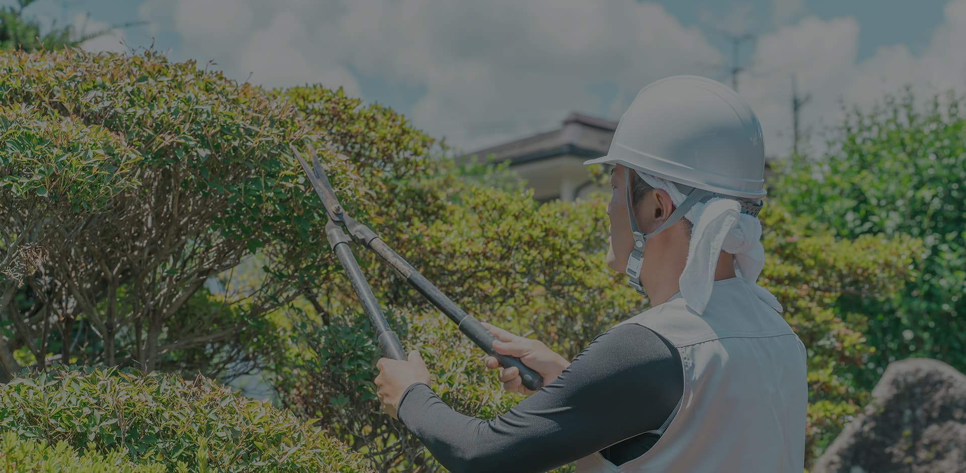 有限会社栗原緑樹園MV画像